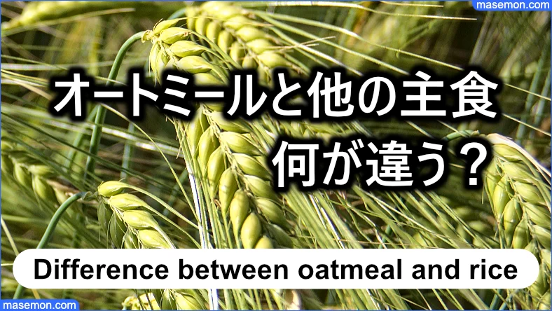 オートミールと他の主食では何が違う？