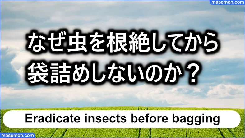 なぜ虫を根絶してから袋詰めしないのか？