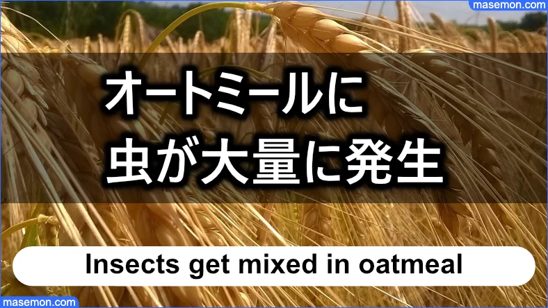 オートミールに虫が大量に発生してしまう可能性